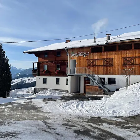 Apartment Flat Motzerngut, Mittersill